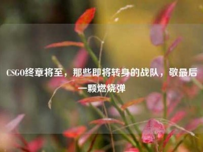 CSGO终章将至，那些即将转身的战队，敬最后一颗燃烧弹