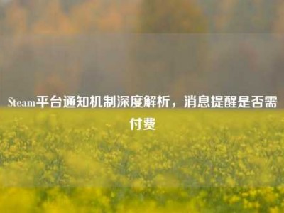 Steam平台通知机制深度解析，消息提醒是否需付费