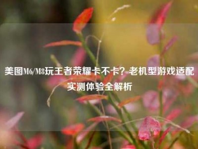 美图M6/M8玩王者荣耀卡不卡？老机型游戏适配实测体验全解析