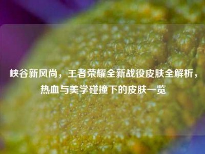 峡谷新风尚，王者荣耀全新战役皮肤全解析，热血与美学碰撞下的皮肤一览
