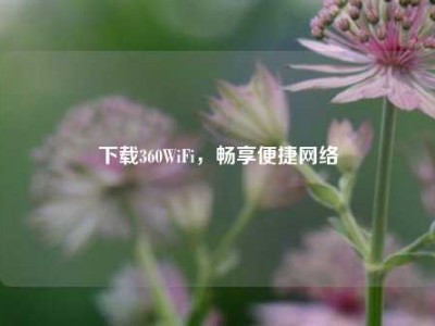下载360WiFi，畅享便捷网络