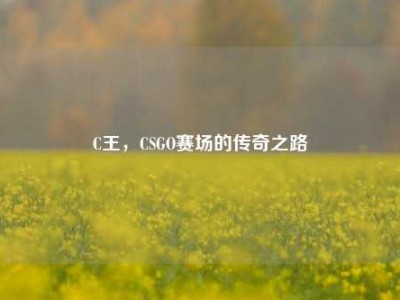 C王，CSGO赛场的传奇之路