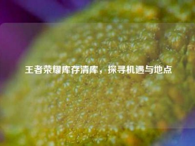 王者荣耀库存清库，探寻机遇与地点