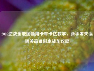 2025逆战全地图通用卡车卡法教学，新手零失误通关高难副本战车攻略