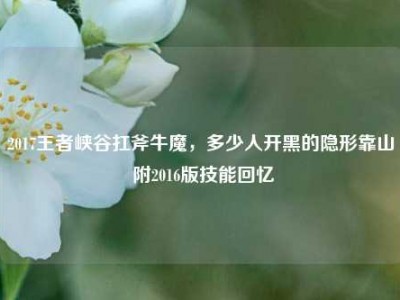 2017王者峡谷扛斧牛魔，多少人开黑的隐形靠山 附2016版技能回忆