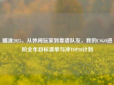 瞄准2025，从休闲玩家到靠谱队友，我的CSGO进阶全年目标清单与冲TOP20计划