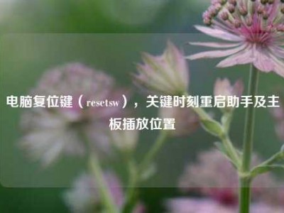 电脑复位键（resetsw），关键时刻重启助手及主板插放位置