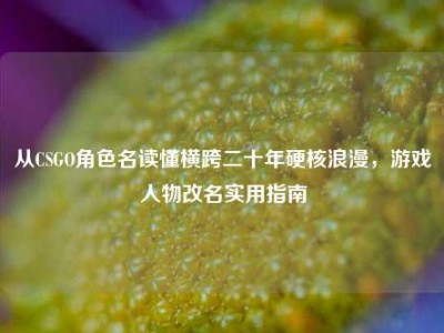 从CSGO角色名读懂横跨二十年硬核浪漫，游戏人物改名实用指南