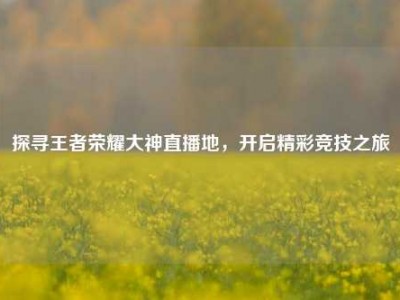 探寻王者荣耀大神直播地，开启精彩竞技之旅