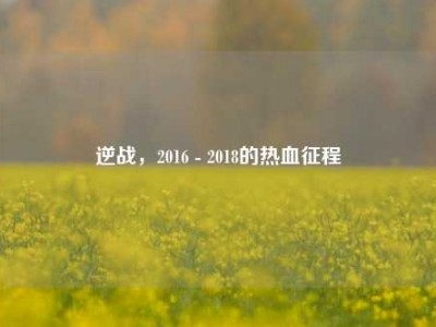 逆战，2016 - 2018的热血征程
