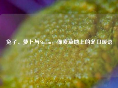 兔子、萝卜与Steam，像素草地上的冬日暖语