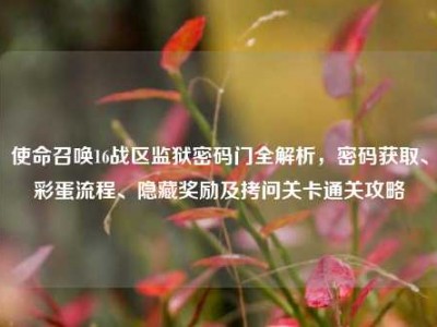 使命召唤16战区监狱密码门全解析，密码获取、彩蛋流程、隐藏奖励及拷问关卡通关攻略