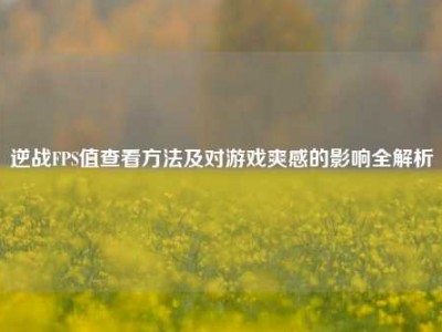 逆战FPS值查看方法及对游戏爽感的影响全解析