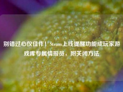 别错过心仪佳作！Steam上线提醒功能成玩家游戏库专属情报员，附关闭方法