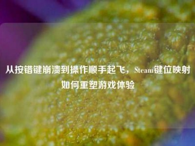 从按错键崩溃到操作顺手起飞，Steam键位映射如何重塑游戏体验