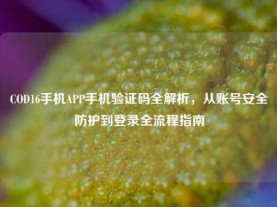 COD16手机APP手机验证码全解析，从账号安全防护到登录全流程指南