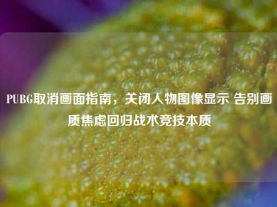 PUBG取消画面指南，关闭人物图像显示 告别画质焦虑回归战术竞技本质