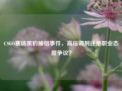 CSGO赛场黑豹抽烟事件，高压调剂还是职业态度争议？