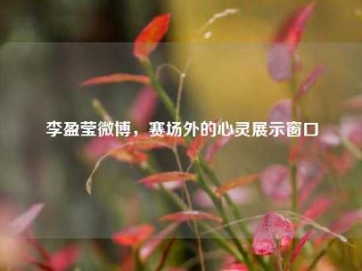 李盈莹微博，赛场外的心灵展示窗口
