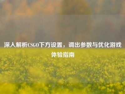 深入解析CSGO下方设置，调出参数与优化游戏体验指南