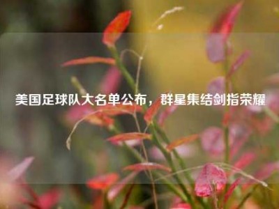 美国足球队大名单公布，群星集结剑指荣耀