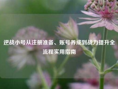 逆战小号从注册准备、账号养成到战力提升全流程实用指南