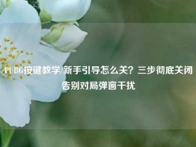 PUBG按键教学/新手引导怎么关？三步彻底关闭告别对局弹窗干扰
