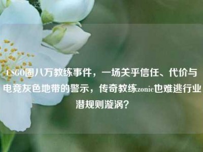 CSGO圈八万教练事件，一场关乎信任、代价与电竞灰色地带的警示，传奇教练zonic也难逃行业潜规则漩涡？