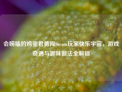 会唠嗑的鸡蛋君勇闯Steam玩家快乐宇宙，游戏奇遇与趣味做法全解锁