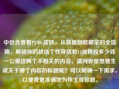中包含查看PUBG皮肤，从萌新到收藏家的全指南，解锁你的战场个性穿搭和14油耗投多少钱一公里这两个不相关的内容，请问你是想要生成关于哪个内容的标题呢？可以明确一下需求，以便我更准确地为你生成标题。