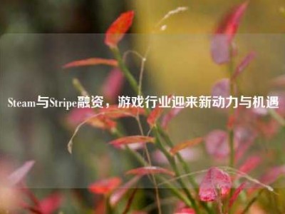 Steam与Stripe融资，游戏行业迎来新动力与机遇