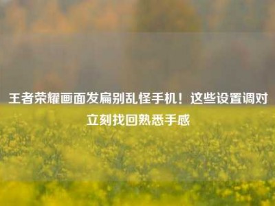 王者荣耀画面发扁别乱怪手机！这些设置调对立刻找回熟悉手感