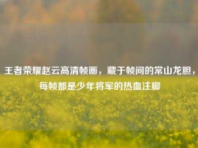 王者荣耀赵云高清帧画，藏于帧间的常山龙胆，每帧都是少年将军的热血注脚