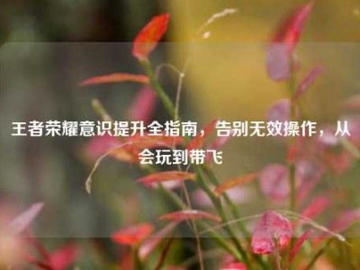 王者荣耀意识提升全指南，告别无效操作，从会玩到带飞