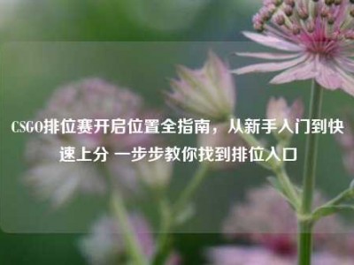 CSGO排位赛开启位置全指南，从新手入门到快速上分 一步步教你找到排位入口