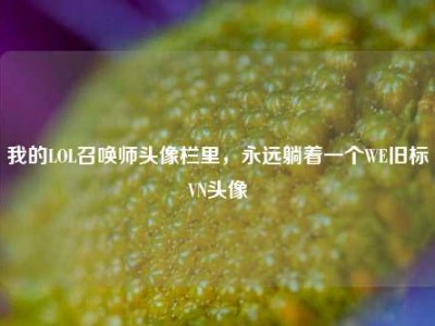 我的LOL召唤师头像栏里，永远躺着一个WE旧标VN头像
