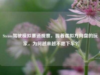 Steam驾驶模拟赛道观察，握着虚拟方向盘的玩家，为何越来越不愿下车？