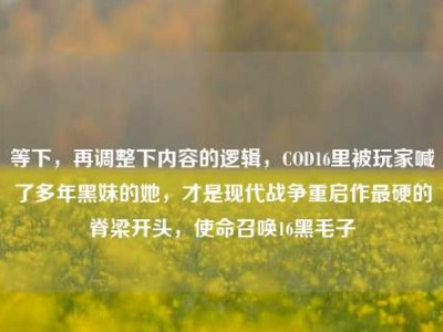 等下，再调整下内容的逻辑，COD16里被玩家喊了多年黑妹的她，才是现代战争重启作最硬的脊梁开头，使命召唤16黑毛子