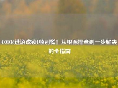 COD16进游戏锁1帧别慌！从根源排查到一步解决的全指南