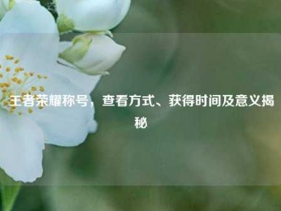 王者荣耀称号，查看方式、获得时间及意义揭秘