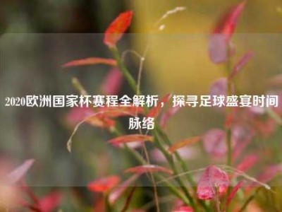 2020欧洲国家杯赛程全解析，探寻足球盛宴时间脉络