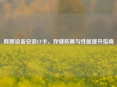 群晖设备安装CF卡，存储拓展与性能提升指南