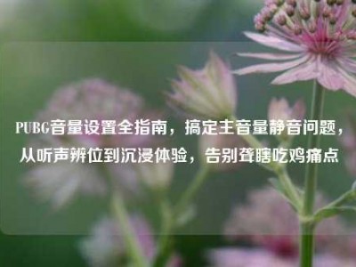 PUBG音量设置全指南，搞定主音量静音问题，从听声辨位到沉浸体验，告别聋瞎吃鸡痛点