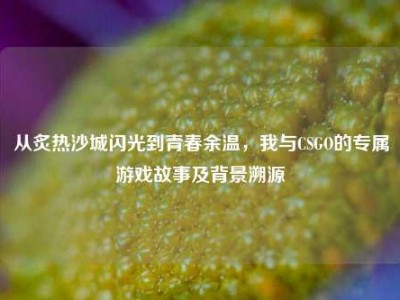 从炙热沙城闪光到青春余温，我与CSGO的专属游戏故事及背景溯源