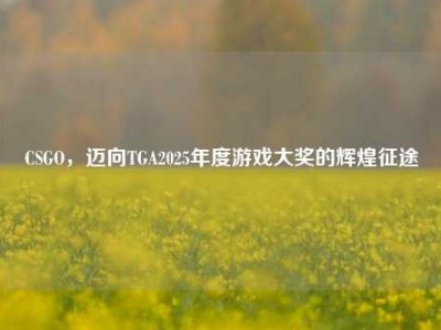 CSGO，迈向TGA2025年度游戏大奖的辉煌征途