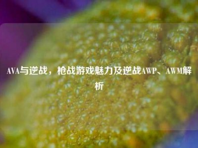 AVA与逆战，枪战游戏魅力及逆战AWP、AWM解析