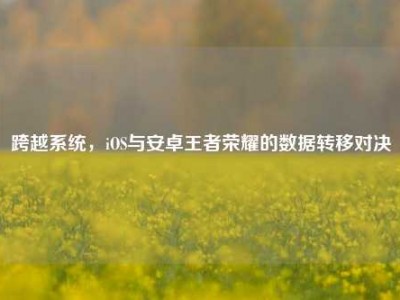 跨越系统，iOS与安卓王者荣耀的数据转移对决