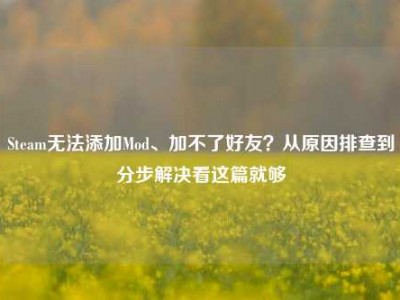 Steam无法添加Mod、加不了好友？从原因排查到分步解决看这篇就够