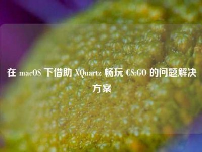 在 macOS 下借助 XQuartz 畅玩 CS:GO 的问题解决方案