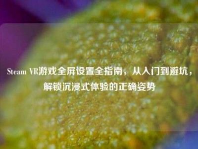 Steam VR游戏全屏设置全指南，从入门到避坑，解锁沉浸式体验的正确姿势
